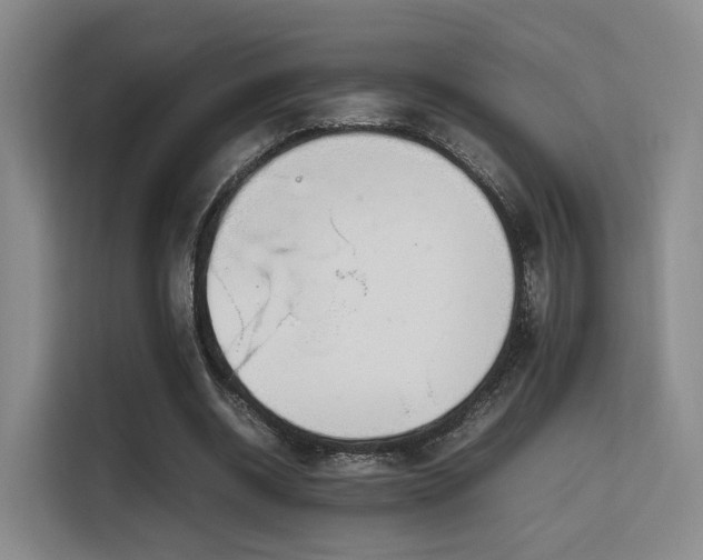 X0000115760534200911201200