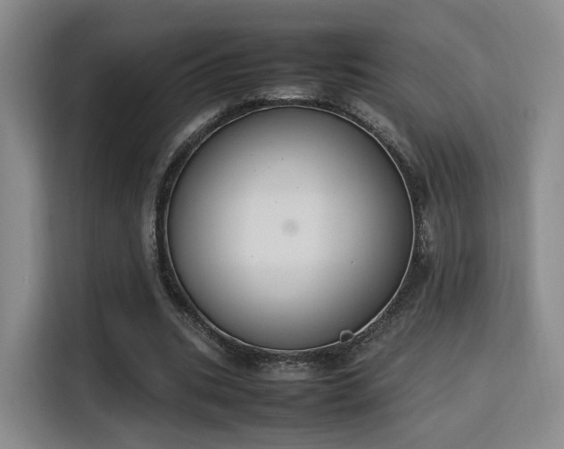 X0000115760535200911201200
