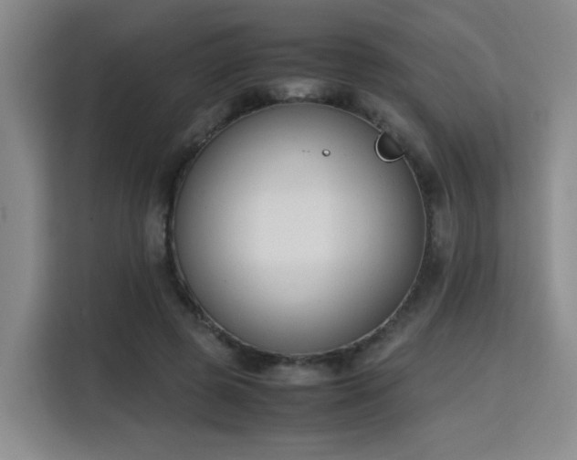 X0000115760545200911201200