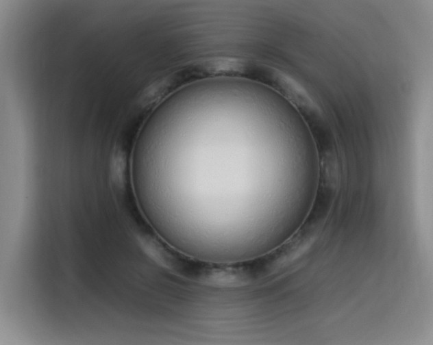 X0000115760550200911201200