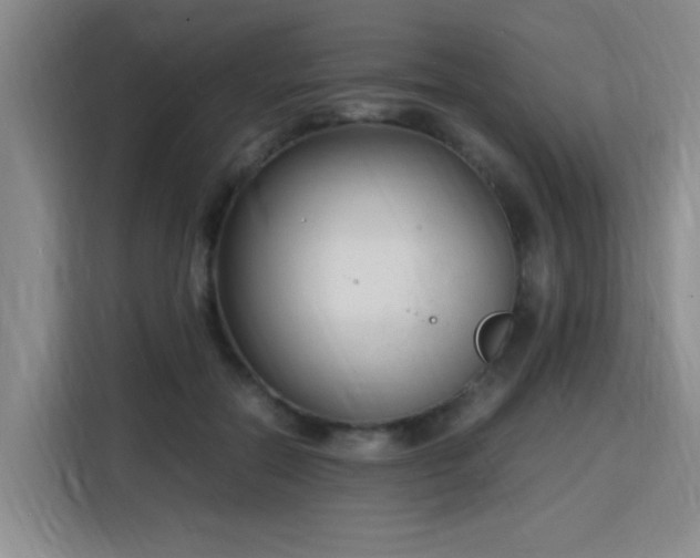 X0000115760554200911201200