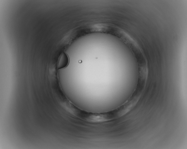 X0000115760557200911201200