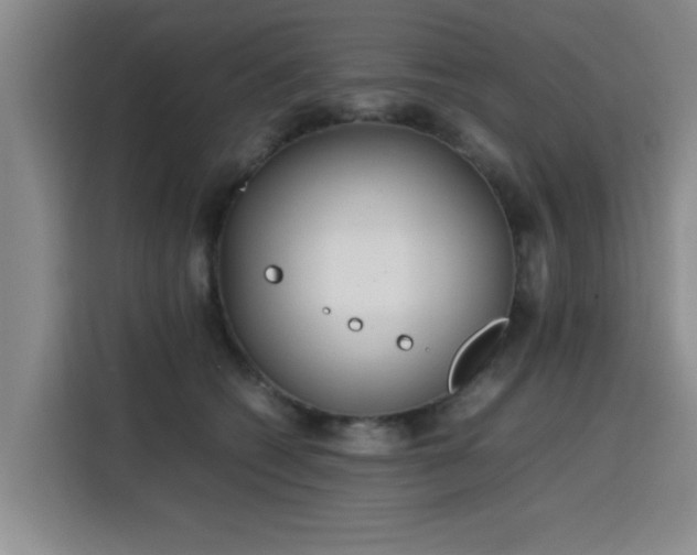 X0000115760562200911201200