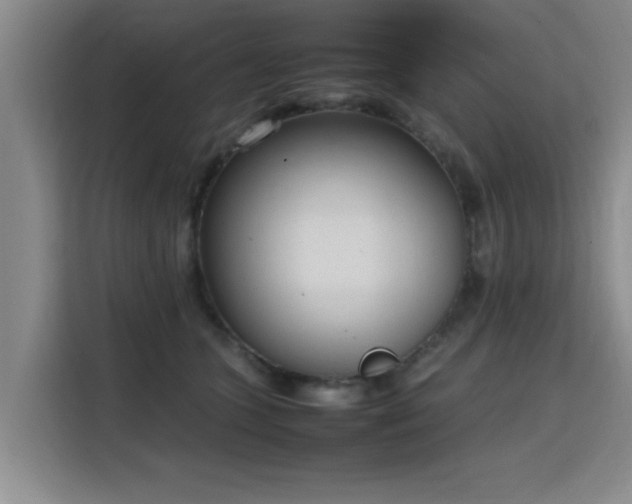 X0000115760563200911201200
