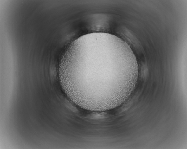 X0000115760569200911201200