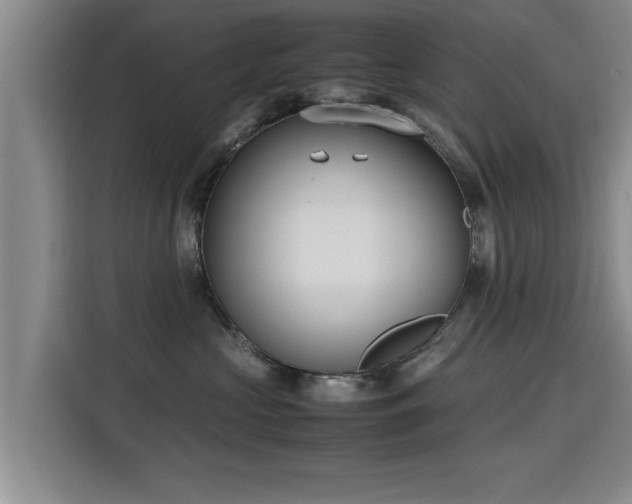 X0000115760573200911201201