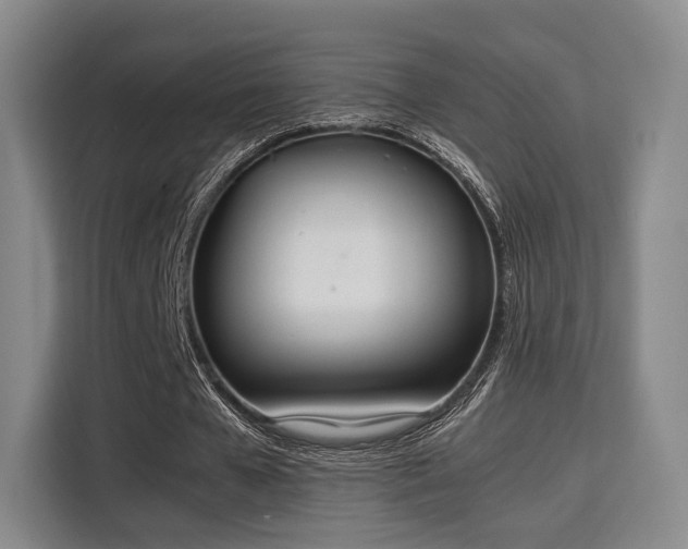 X0000115760577200911201200