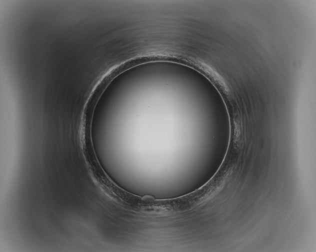 X0000115760580200911201200