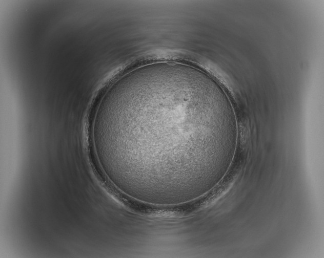X0000115760581200911201200