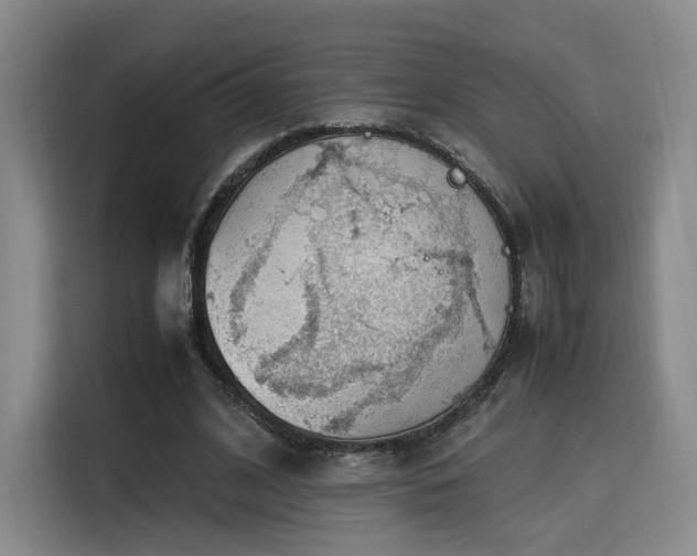 X0000115760584200911201200
