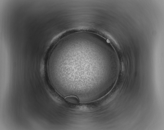 X0000115760588200911201200