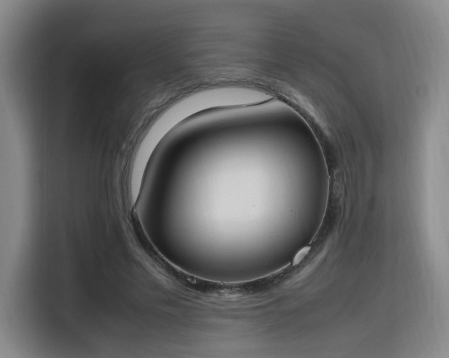 X0000115760589200911201200