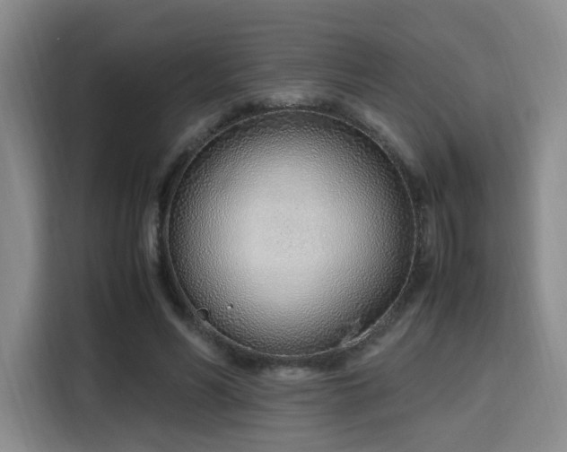 X0000115760590200911201200