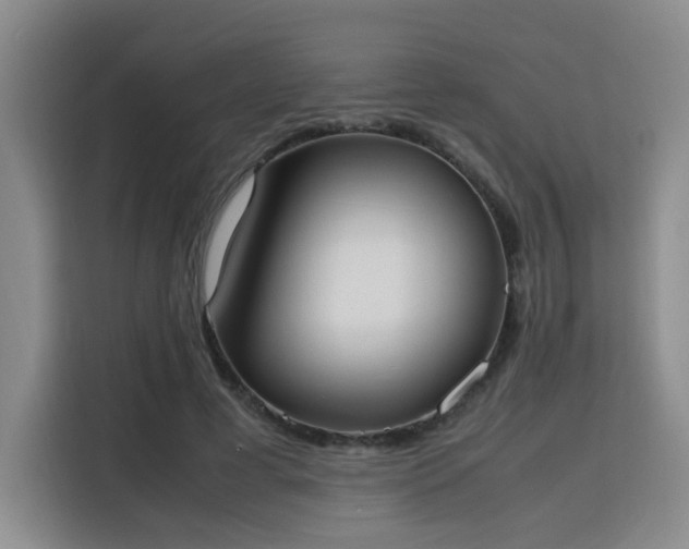 X0000115760593200911201200