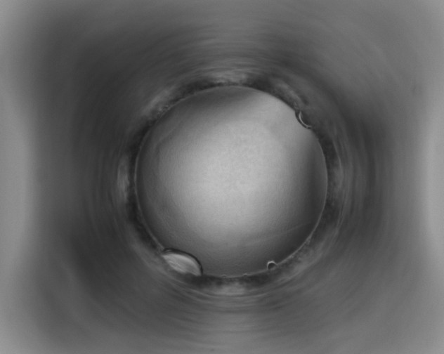 X0000115760600200911201200