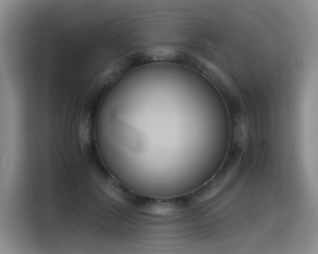 X0000115760604200911201159