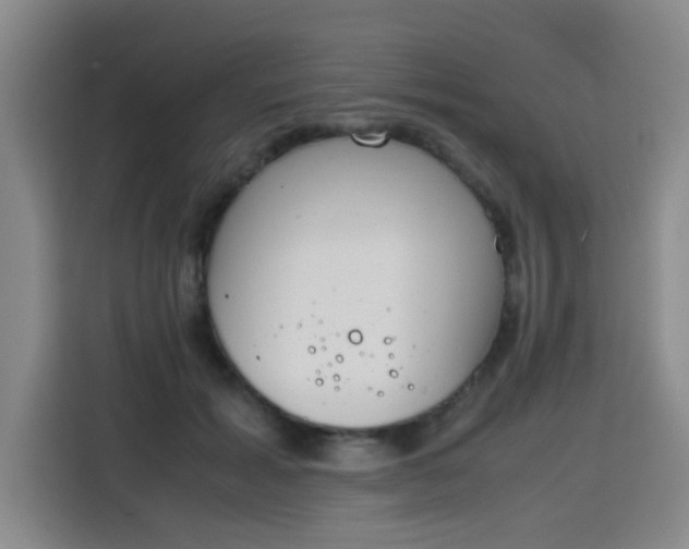 X0000115760605200911201159