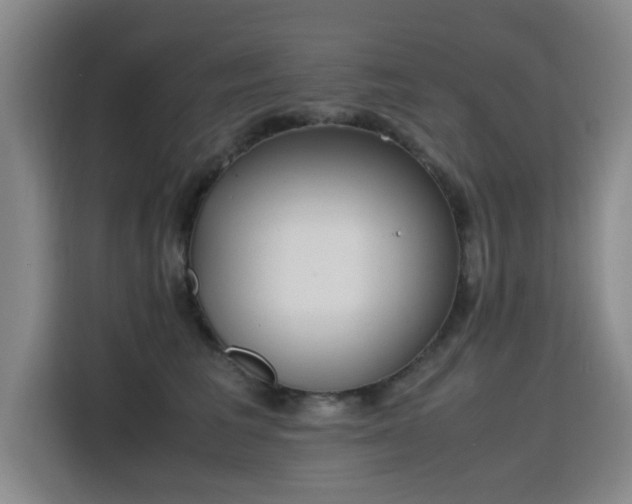 X0000115760613200911201159