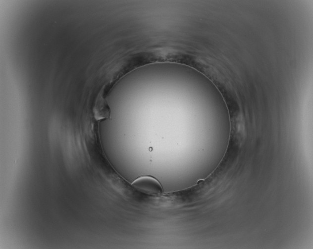 X0000115760615200911201159