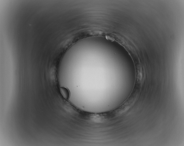 X0000115760616200911201159