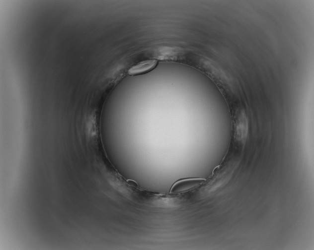 X0000115760620200911201159