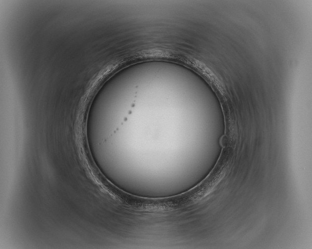 X0000115760625200911201159