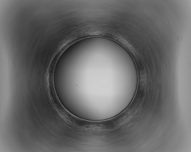 X0000115760626200911201159