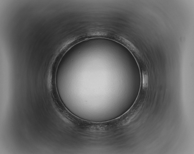 X0000115760627200911201159
