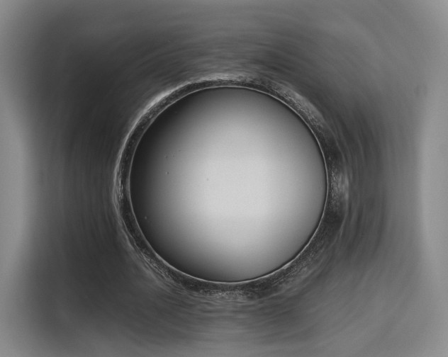 X0000115760628200911201159