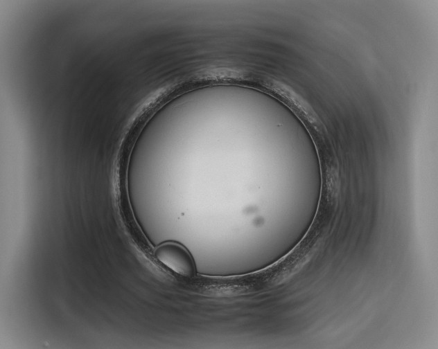 X0000115760629200911201159