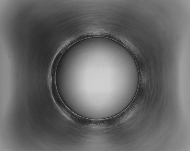 X0000115760630200911201159