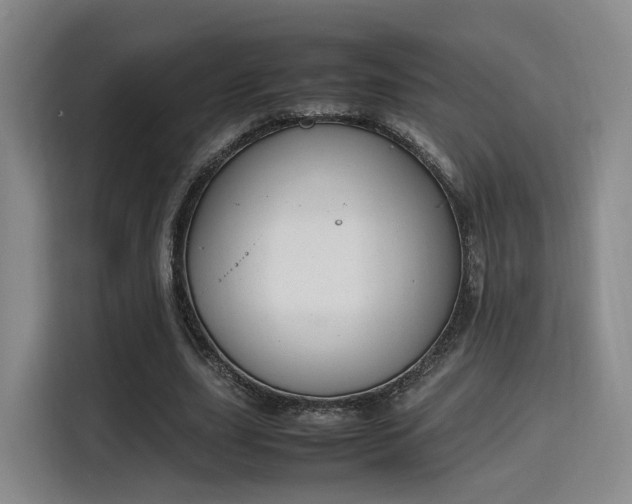X0000115760631200911201159