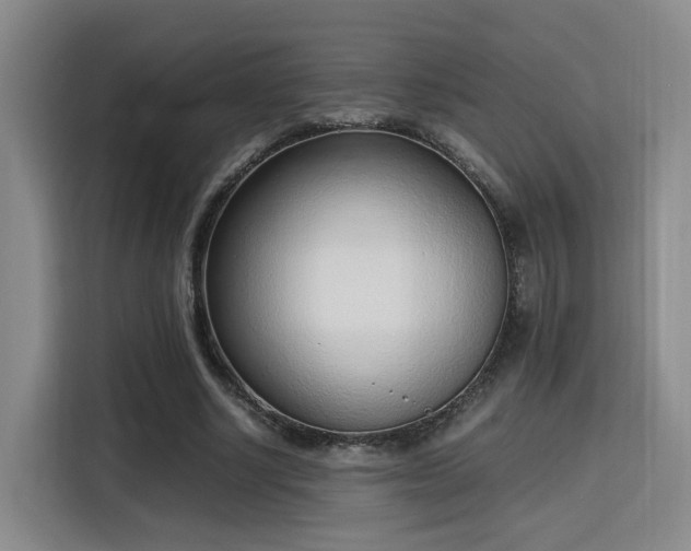 X0000115760634200911201159