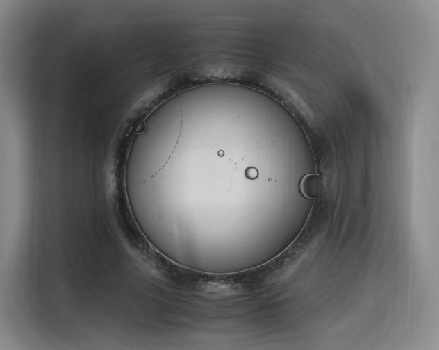 X0000115760635200911201159