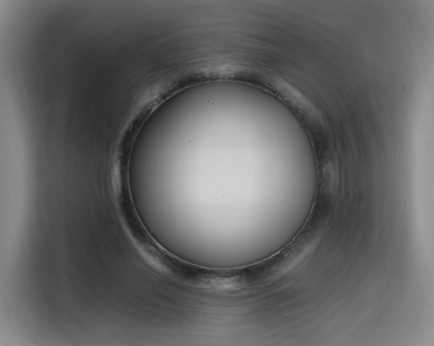 X0000115760638200911201159