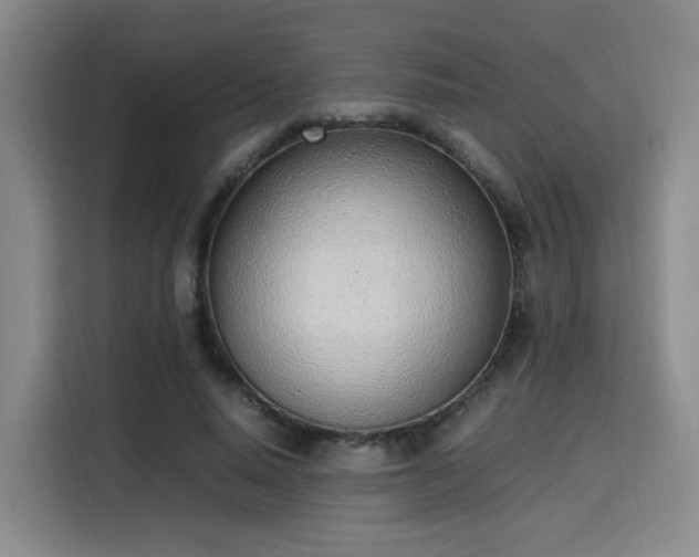 X0000115760640200911201159