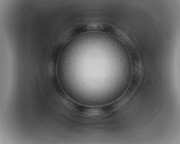 X0000115760659200911201159