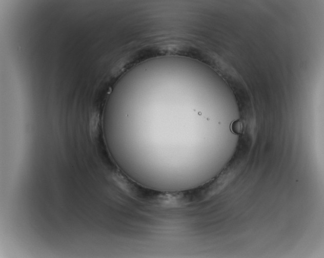 X0000115760660200911201159