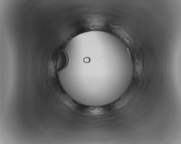 X0000115760667200911201159