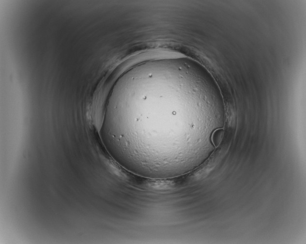 X0000115760670200911201159