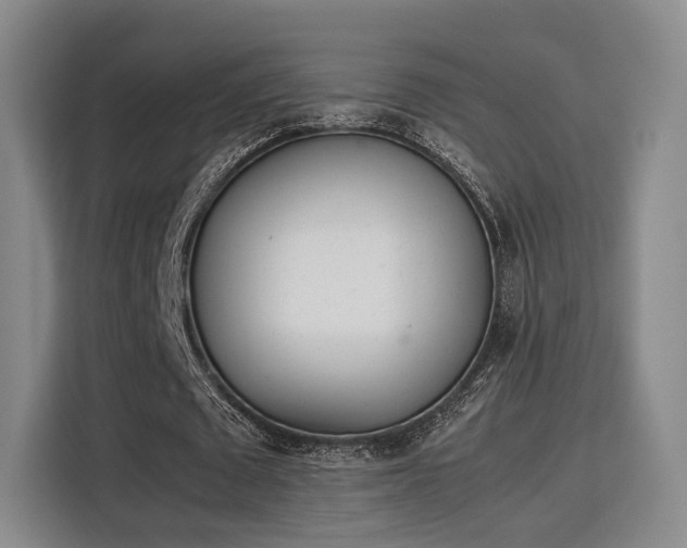 X0000115760673200911201159