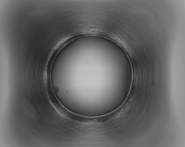 X0000115760674200911201159