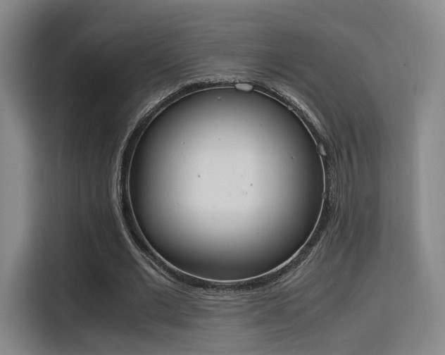 X0000115760677200911201159