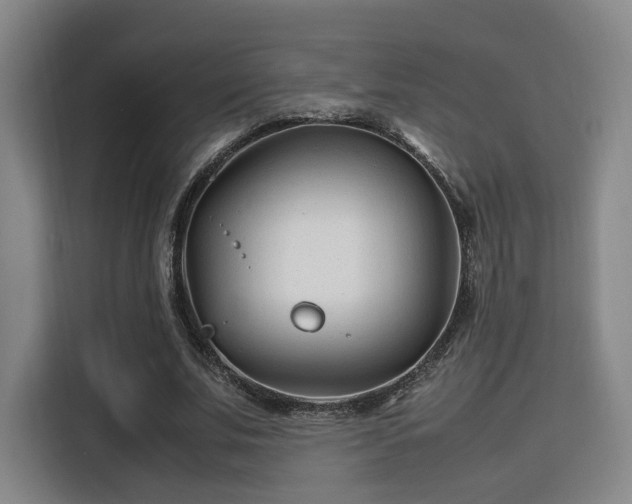 X0000115760679200911201159