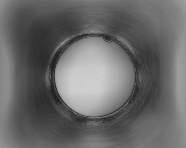X0000115760680200911201159