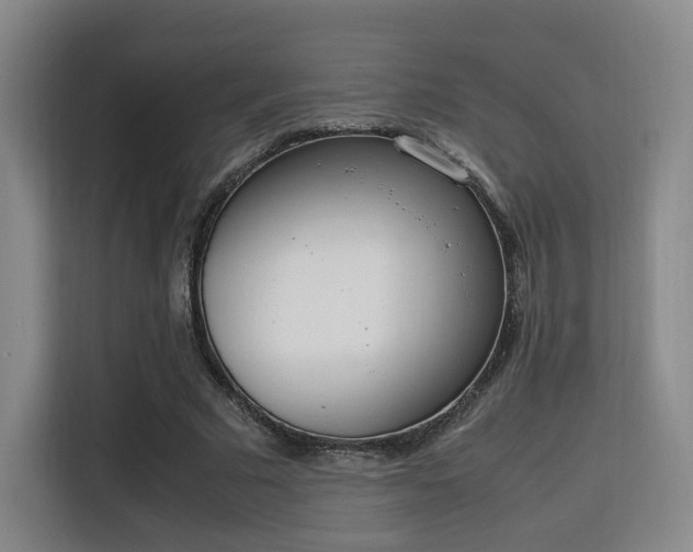 X0000115760681200911201158