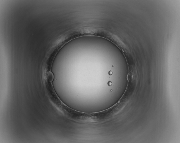 X0000115760683200911201158