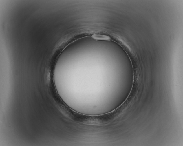 X0000115760685200911201158