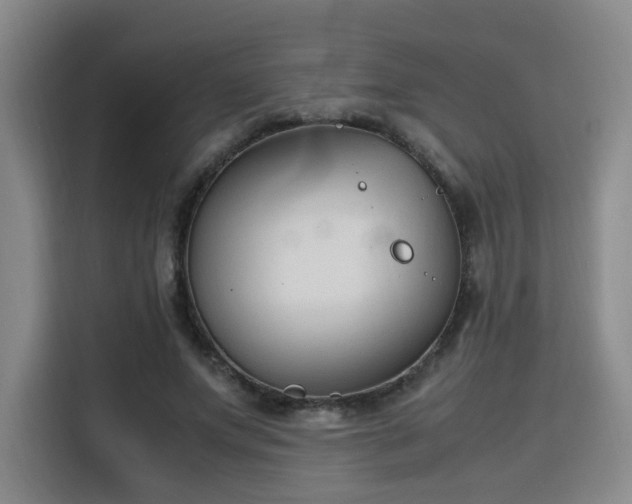 X0000115760687200911201158