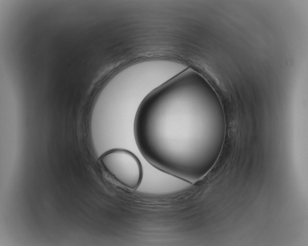 X0000115760688200911201158